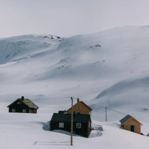 用香气“解冻”多巴胺～