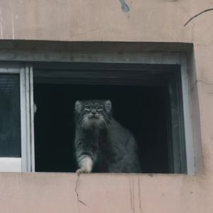 过刊036：当有人维权一件小事