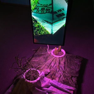 生滚粥26：通过艺术，去理解或回答那些生活抛给你的问题