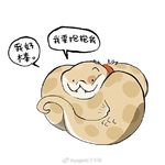 再再不在乎