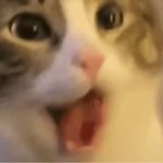 扬风吹沙