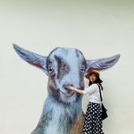 饭饭君新年快乐