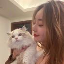 周周的布偶猫