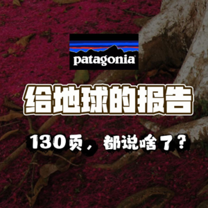 Patagonia给地球的报告