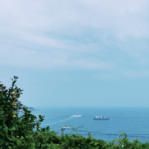 旅行的无意义027｜东极岛摆烂冒险的日子