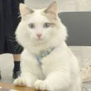 让我想想今天叫什么