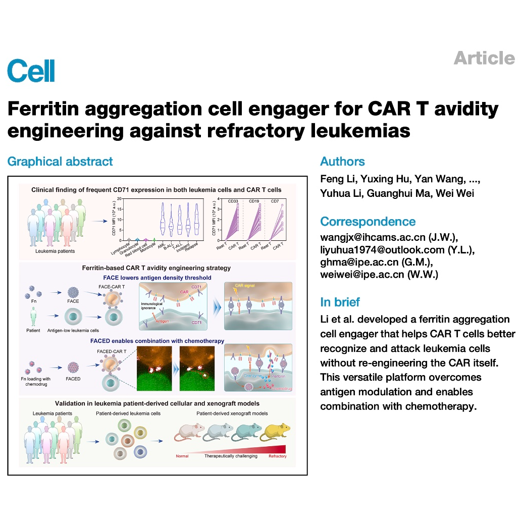724-Ferritin Aggregation Cell Engagers for CAR T Avidity episode artwork