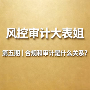 第5期 | 合规与审计到底是什么关系?