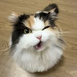 霸道女人套被套