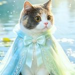 静听_