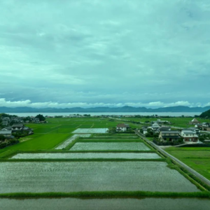 日本米价翻倍，真正的幕后黑手的农协的垄断