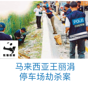 E07.星光坠落祈祷时:吉隆坡停车场劫杀案