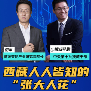 第247集 西藏人人皆知的 “张大人花”