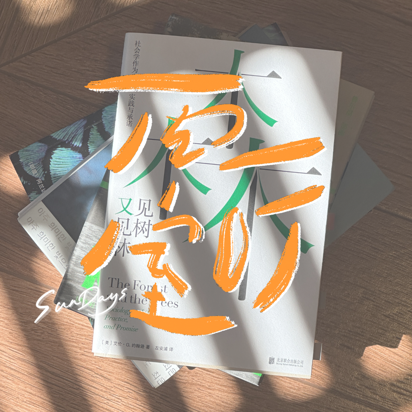 “人还是要珍惜，那些能夺回专注力的东西”｜LOOK