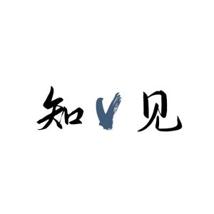 知V见