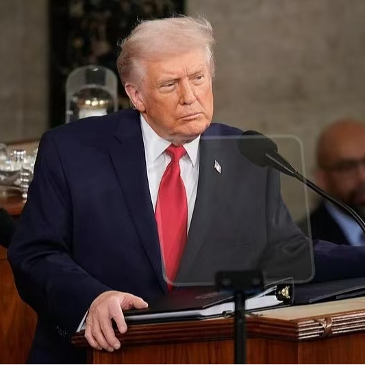 半身像 （群像与自我）播客