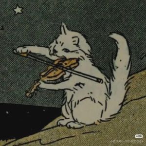 冷水鱼没有文艺病