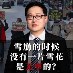 雪崩的时候没有一片雪花是无辜的？