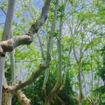 月亮满了啦啦啦