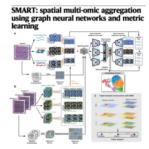 829-SMART: Spatial Multi-omic Aggregation
