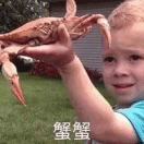 天_WLA8