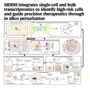 965-SIDISH: In Silico Perturbation for Precision Medicine