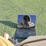 哈哈life01