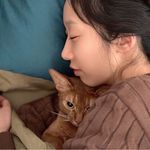 油炸石榴