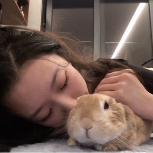 藍瑤