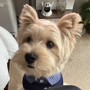 podcaster-avatar