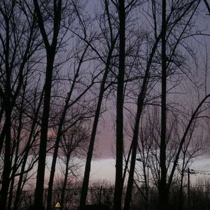 记录原始人历史的声音