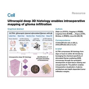 1493-ULTRA: Rapid AI-Driven 3D Histology