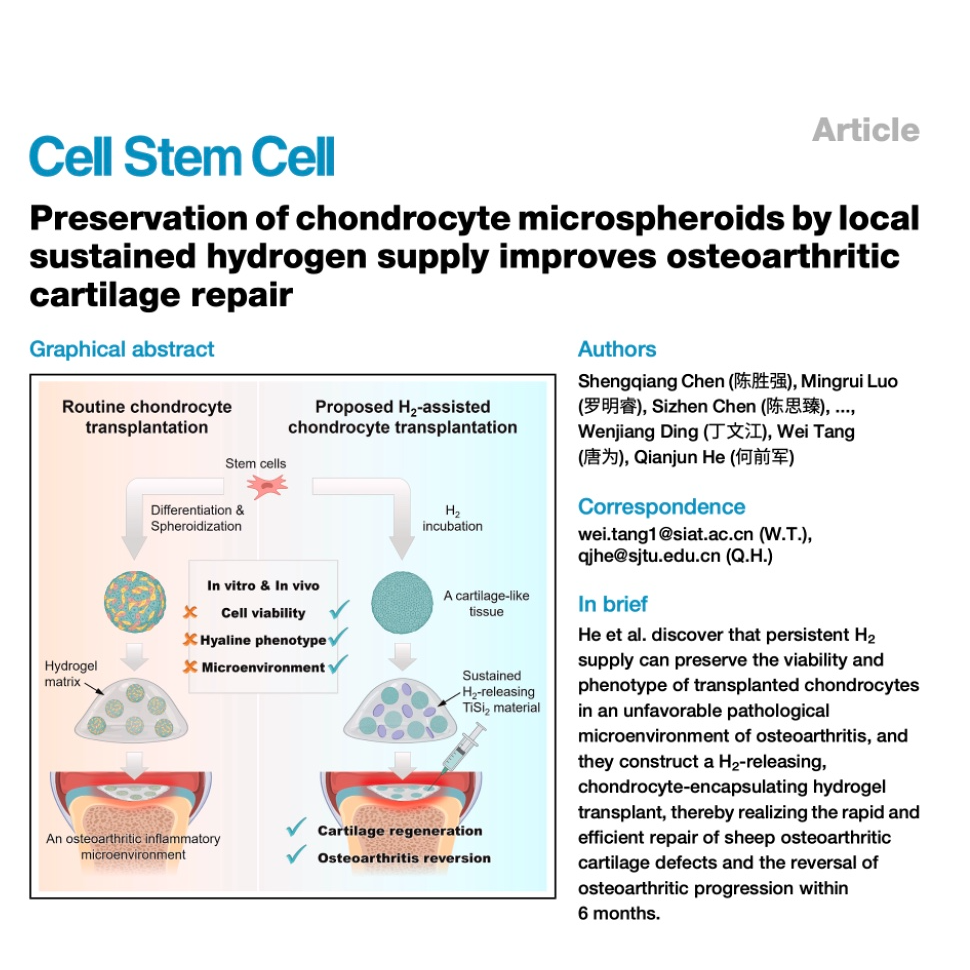 823-Hydrogen improves Osteoarthritic Cartilage Repair episode artwork