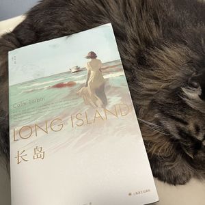 30. 选择无法做出，便只剩等待 | 《长岛》（二）