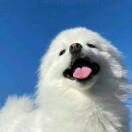 剧本杀的所感所想