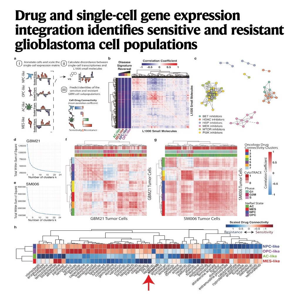 871-scFOCAL: Drug Sensitivity Across tumor Cell States episode artwork