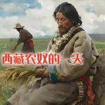 穿越回旧西藏，成为一个普通的农奴！#助眠 #助眠故事 #睡前故事
