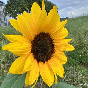 39《无问西东》