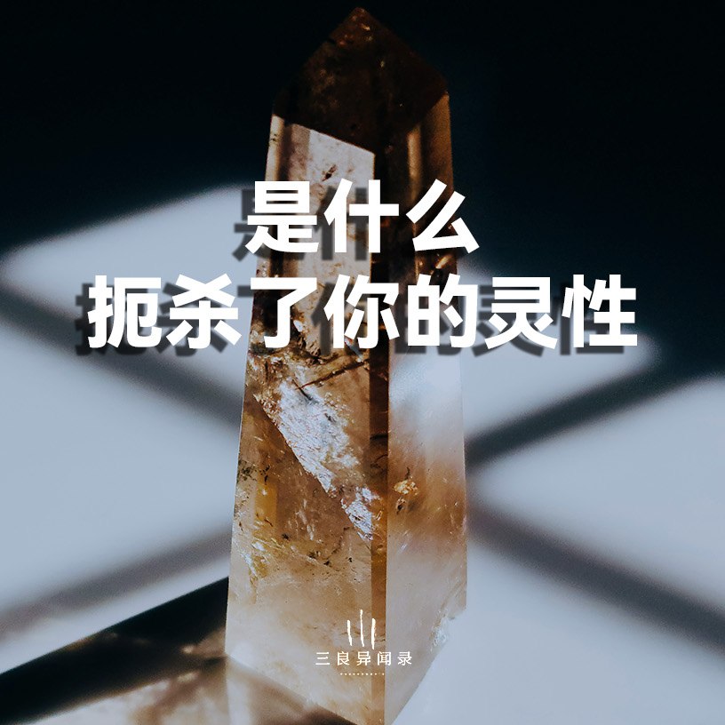 你的灵性和认知正在被什么扼杀？什么是哲学与玄学的共同起点和基石？ episode artwork