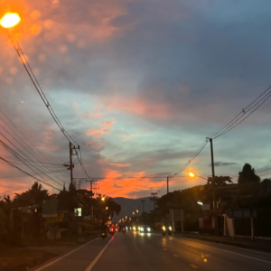 Ep16 自由职业是逃离职场的乌托邦，还是另一个围城？