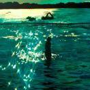 好爱发呆的高绿繁