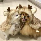 命好运好小太阳