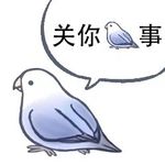 蓝莓可丽饼