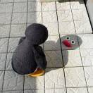 辣鸡桶在逃小呆瓜