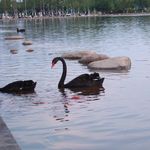 没事儿就来听听