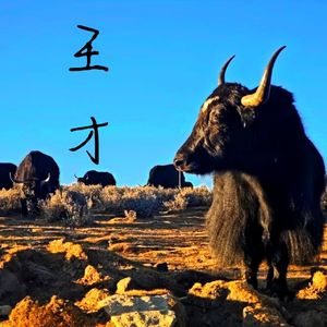 Vol.59王才的田野：读《我的皮村兄妹》丨8.野马王德志
