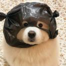 就叫这个吧_MYuq