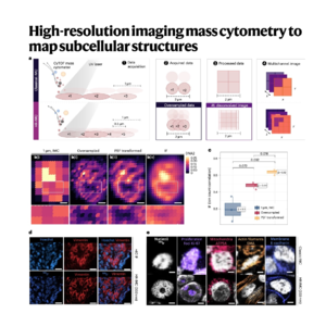 380-HR-IMC: Submicrometer Resolution Imaging Mass Cytometry
