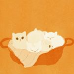 怎么可能不喜欢小猫