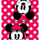 MickeyMinnies